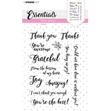 Studio Light Sentiments/Wishes Thanks Clear Stamps (SL-ES-STAMP178) (OUTLET)