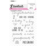 Studio Light Congratulations Sentiments Clear Stamps (SL-ES-STAMP175) (OUTLET)
