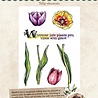 Studio Light Tulip Elements Essentials Clear Stamps (JMA-ES-STAMP338) (OUTLET)