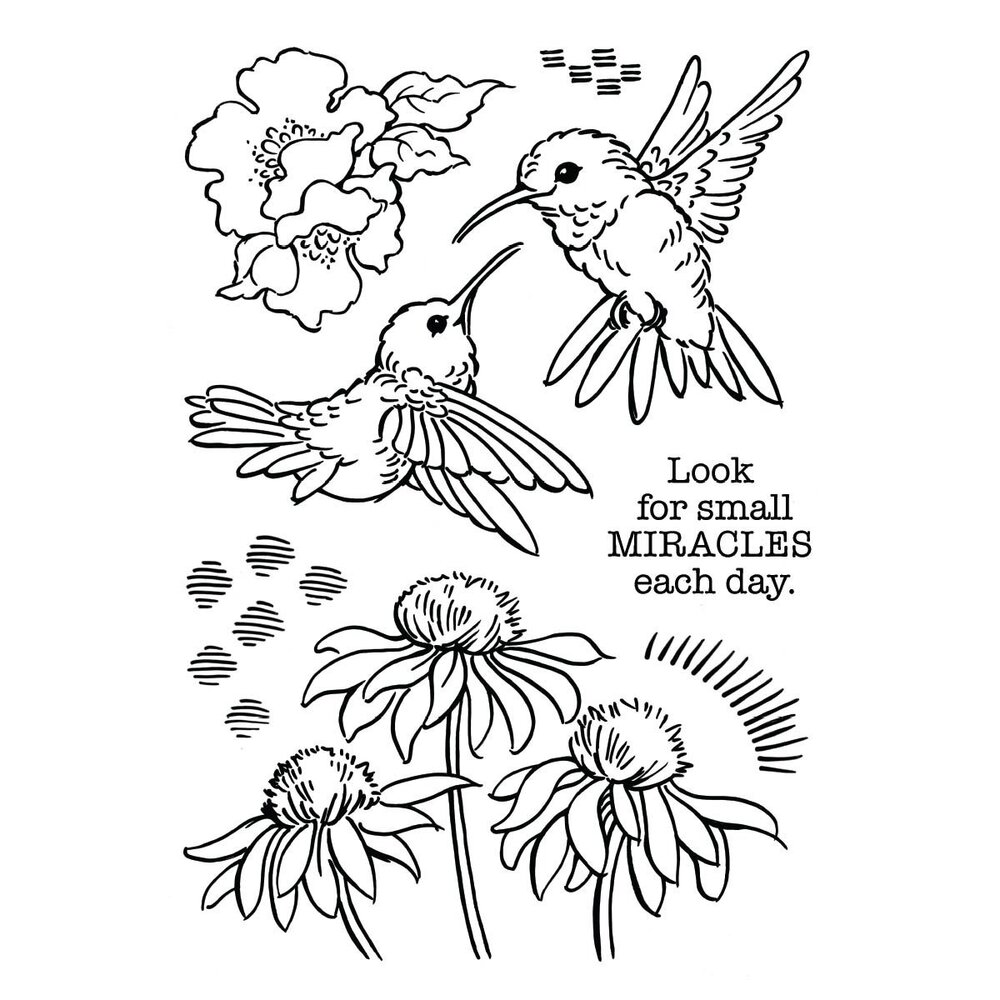 Stampendous! Hummingbird Day Clear Stamps (STP-193) (OUTLET)