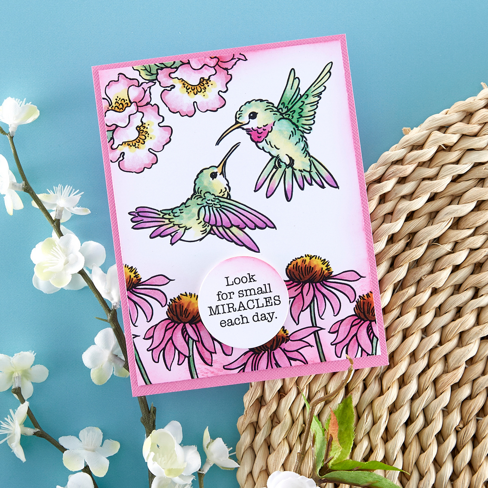 Stampendous! Hummingbird Day Clear Stamps (STP-193) (OUTLET)