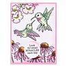 Stampendous! Hummingbird Day Clear Stamps (STP-193) (OUTLET)