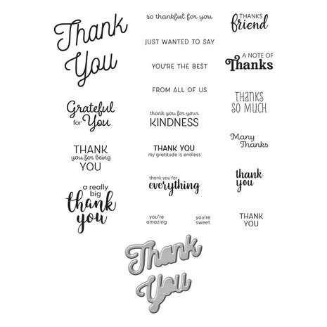 Spellbinders Many Thanks Clear Stamp & Die Set (SDS-171) (OUTLET)