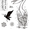 Pink Ink Designs Pelican A5 Clear Stamp (PI164) (OUTLET)