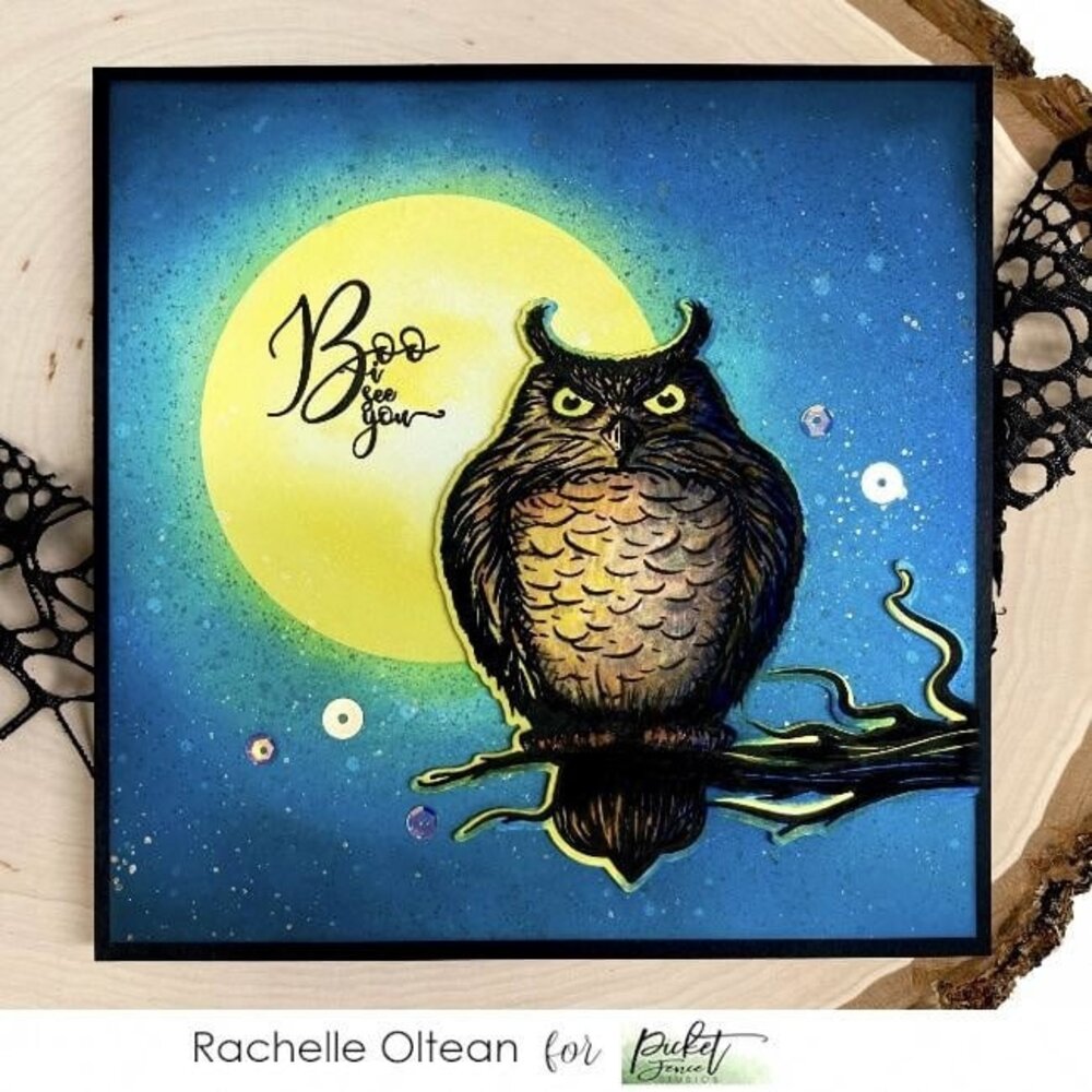 Picket Fence Studios Whooo are You? 4x4 Inch Clear Stamps (H-112) (OUTLET)