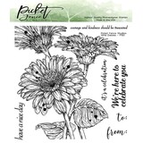 Picket Fence Studios Wild Daisies 6x6 Inch Clear Stamps (F-150) (OUTLET)