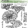 Picket Fence Studios Wild Daisies 6x6 Inch Clear Stamps (F-150) (OUTLET)