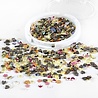 Picket Fence Studios Fish Food Sequin Mix (SQC-181) (OUTLET)