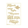 P13 Believe in Fairies Light Chipboard Embellishments POL (7pcs) (P13-BIF-54) (OUTLET)