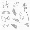 My Favorite Things Complementary Greenery Die-namics (MFT-2449) (OUTLET)