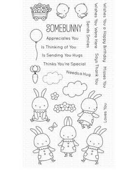My Favorite Things Somebunny Clear Stamps (BB-118) (OUTLET)