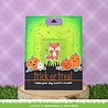 Lawn Fawn Fox Costumes Before 'n Afters Clear Stamps (LF2401) (OUTLET)