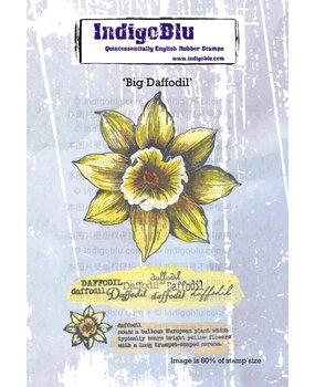 IndigoBlu Big Daffodil A6 Rubber Stamps (IND1270) (OUTLET)