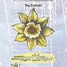 IndigoBlu Big Daffodil A6 Rubber Stamps (IND1270) (OUTLET)