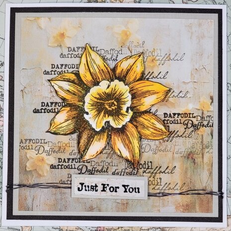 IndigoBlu Big Daffodil A6 Rubber Stamps (IND1270) (OUTLET)