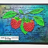 IndigoBlu Raspberries A6 Rubber Stamps (IND0865) (OUTLET)