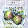 IndigoBlu Apples A6 Rubber Stamps (IND0864) (OUTLET)