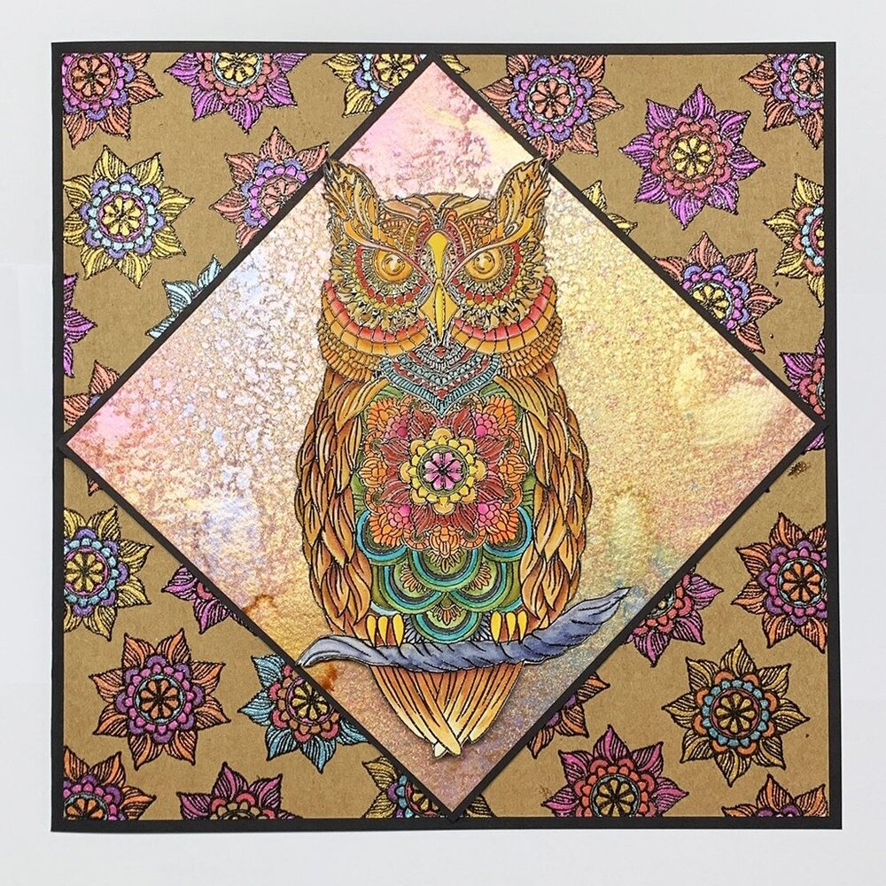 IndigoBlu Owl Tales A5 Rubber Stamps (IND0849) (OUTLET)