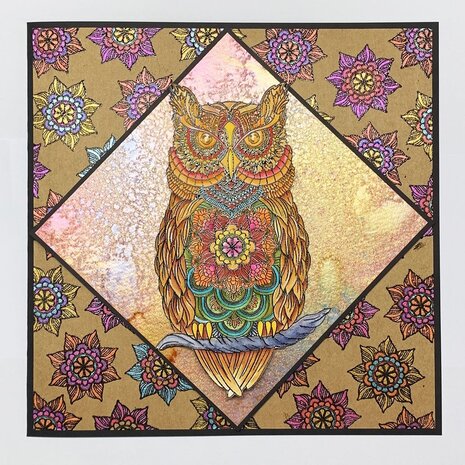 IndigoBlu Owl Tales A5 Rubber Stamps (IND0849) (OUTLET)