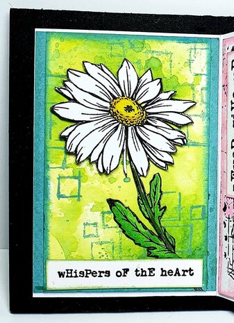 IndigoBlu Camomile A5 Rubber Stamps (IND0810) (OUTLET)