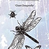 IndigoBlu Giant Dragonfly A6 Rubber Stamps (IND0417) (OUTLET)