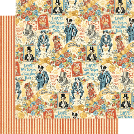 Graphic 45 Well Groomed 12x12 Inch Collection Pack (4502266) (OUTLET)