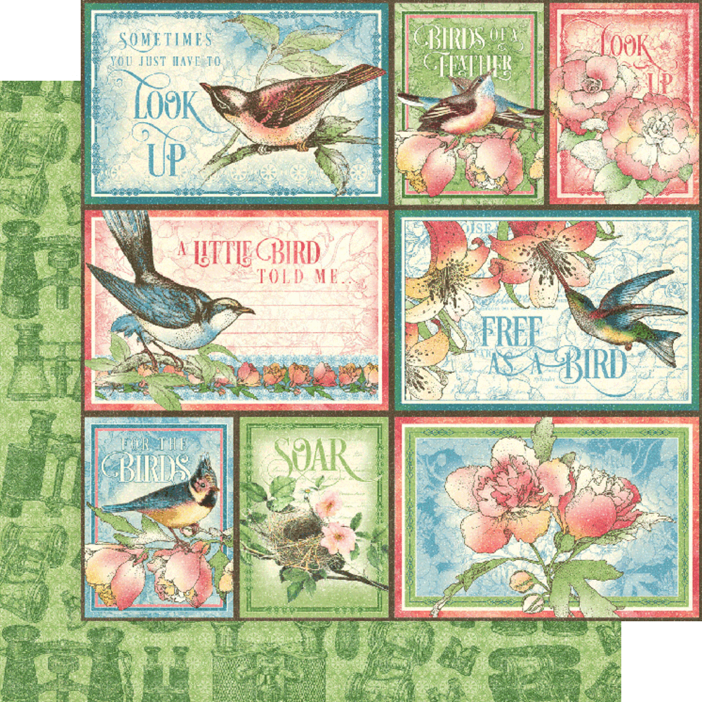 Graphic 45 Bird Watcher 12x12 Inch Collection Pack (4502211) (OUTLET)
