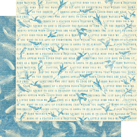 Graphic 45 Bird Watcher 12x12 Inch Collection Pack (4502211) (OUTLET)