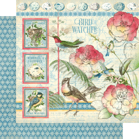 Graphic 45 Bird Watcher 12x12 Inch Collection Pack (4502211) (OUTLET)