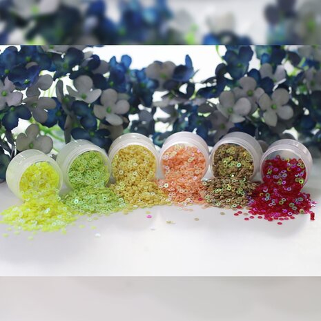 Dress My Craft Sequins Family Pack 12x8g (DMCS4163) (OUTLET)