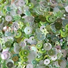 Dress My Craft Sequins Mix Kiwi 25g (DMCS4141) (OUTLET)