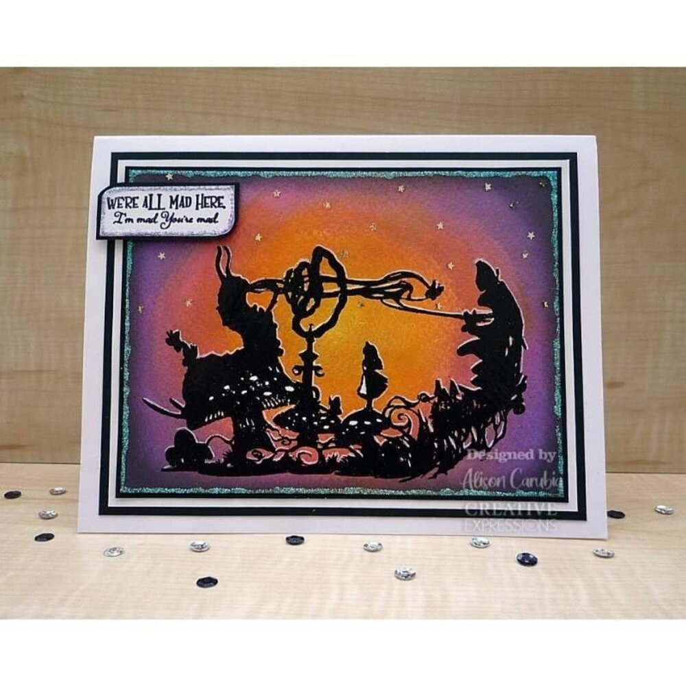 Creative Expressions Paper Panda Rubber Stamp A6 Who Are You? (CERPP012) (OUTLET)