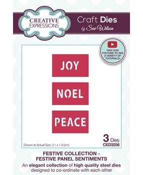 Creative Expressions Sue Wilson Craft Die Festive Panel Sentiments (CED3256) (OUTLET)