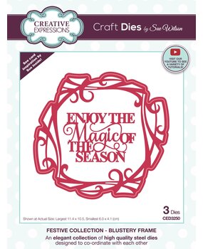 Creative Expressions Sue Wilson Craft Die Festive Blustery Frame (CED3250) (OUTLET)