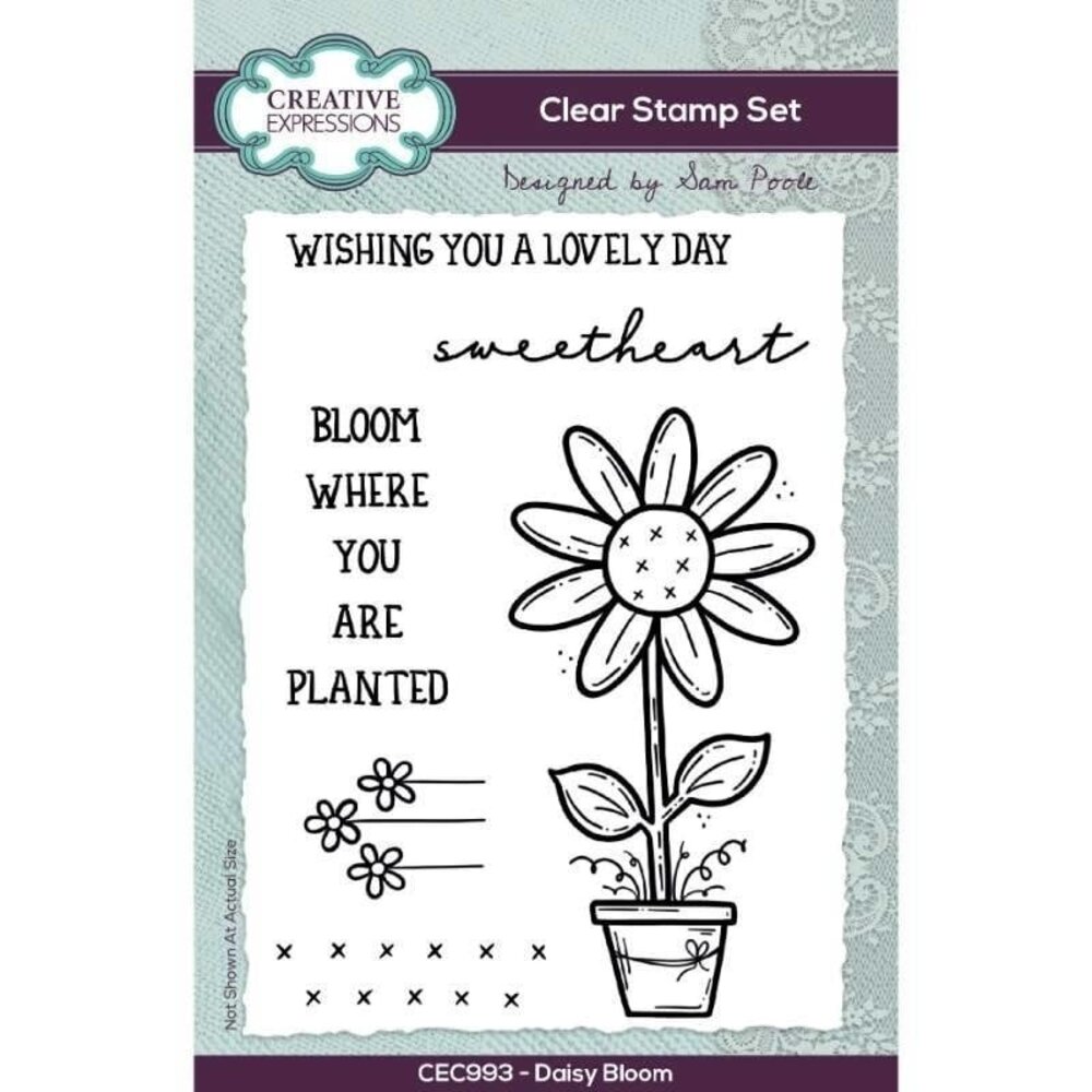 Creative Expressions Sam Poole Clear Stamp A6 Daisy Bloom (CEC993) (OUTLET) Creative Expressions Sam Poole Clear Stamp A6 Daisy Bloom (CEC993) (OUTLET)
