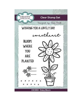 Creative Expressions Sam Poole Clear Stamp A6 Daisy Bloom (CEC993) (OUTLET)