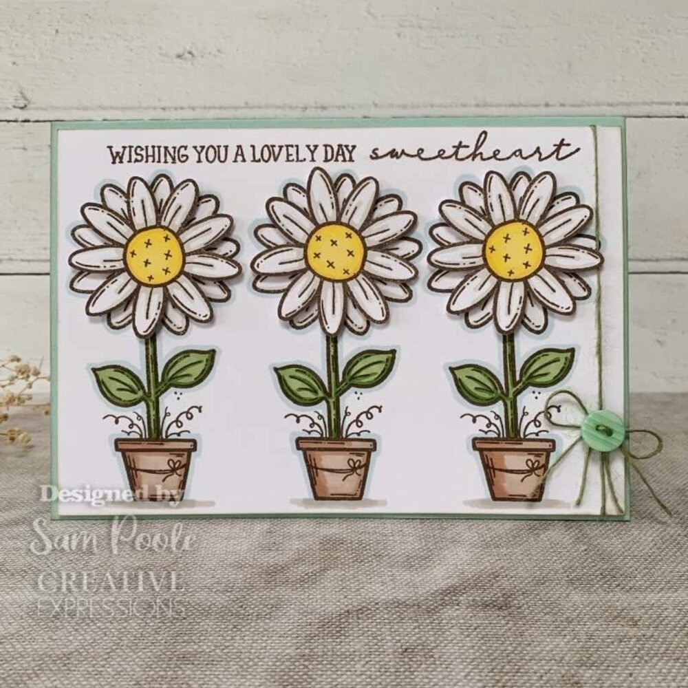 Creative Expressions Sam Poole Clear Stamp A6 Daisy Bloom (CEC993) (OUTLET) Creative Expressions Sam Poole Clear Stamp A6 Daisy Bloom (CEC993) (OUTLET)
