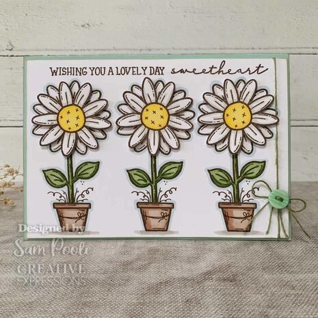 Creative Expressions Sam Poole Clear Stamp A6 Daisy Bloom (CEC993) (OUTLET) Creative Expressions Sam Poole Clear Stamp A6 Daisy Bloom (CEC993) (OUTLET)