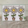 Creative Expressions Sam Poole Clear Stamp A6 Daisy Bloom (CEC993) (OUTLET) Creative Expressions Sam Poole Clear Stamp A6 Daisy Bloom (CEC993) (OUTLET)