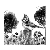 Crafty Individuals Dawn Calling Unmounted Rubber Stamps (CI-626) (OUTLET)