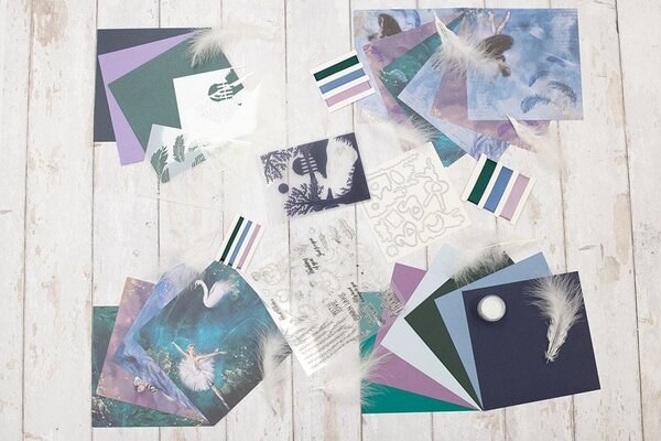 Crafter's Companion Sara Signature Box Swan Lake (SSBOX-SWANLAKE) (OUTLET)