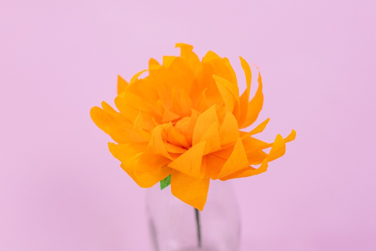 Crafter's Companion Say It With Flowers Template Build A Bouquet (S-SIWF-TP-BABO) (OUTLET) Crafter's Companion Say It With Flowers Template Build A Bouquet (S-SIWF-TP-BABO) (OUTLET)