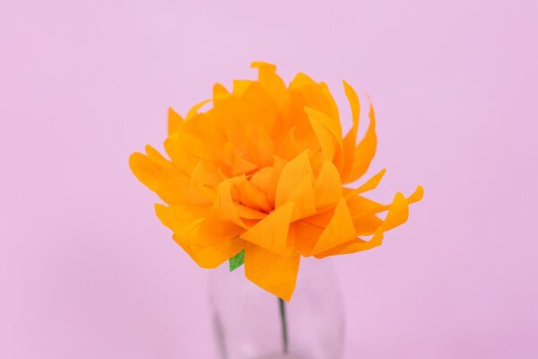 Crafter's Companion Say It With Flowers Template Build A Bouquet (S-SIWF-TP-BABO) (OUTLET) Crafter's Companion Say It With Flowers Template Build A Bouquet (S-SIWF-TP-BABO) (OUTLET)