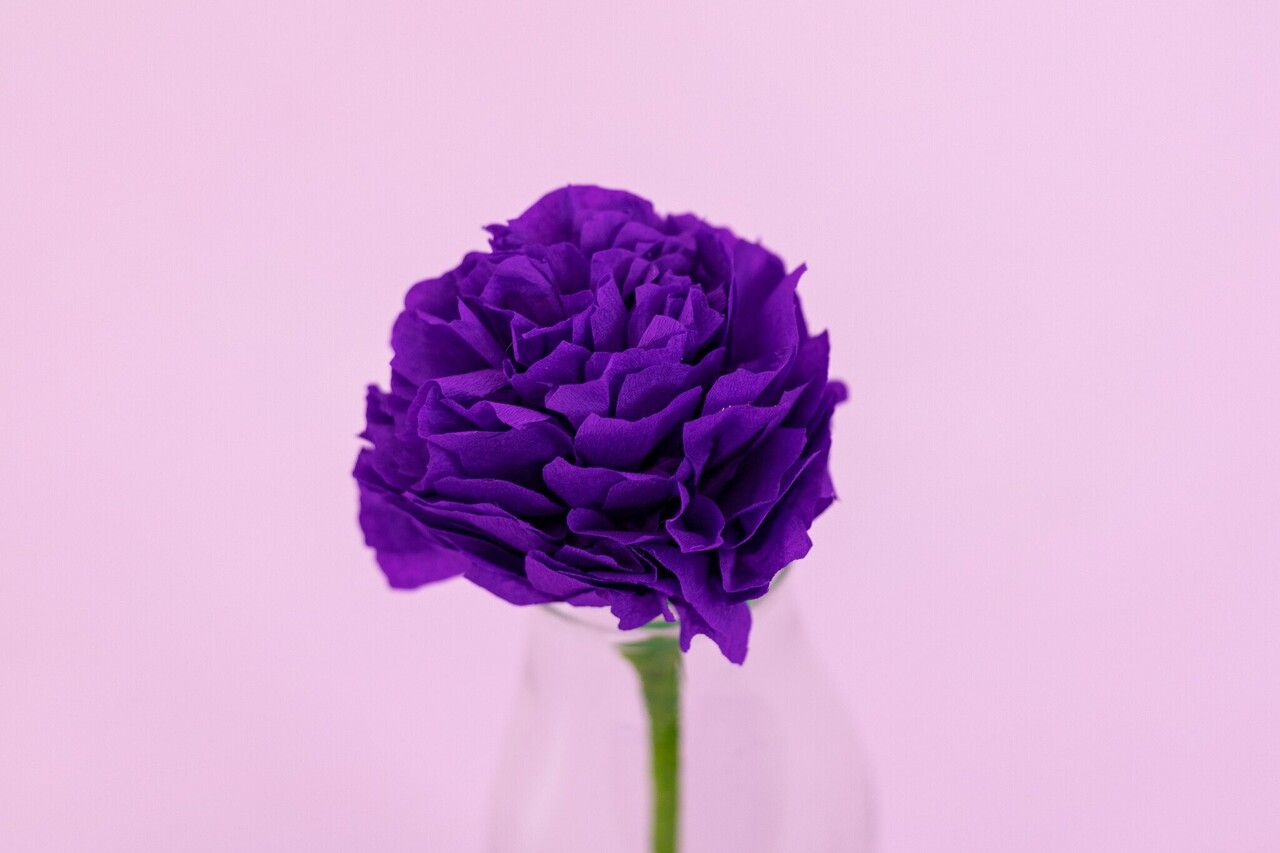 Crafter's Companion Say It With Flowers Template Build A Bouquet (S-SIWF-TP-BABO) (OUTLET) Crafter's Companion Say It With Flowers Template Build A Bouquet (S-SIWF-TP-BABO) (OUTLET)