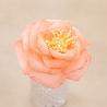 Crafter's Companion Say It With Flowers Crepe Paper Flower Making Kit (S-SIWF-CPFMKIT) (OUTLET)