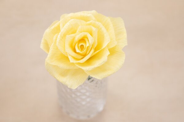 Crafter's Companion Say It With Flowers Crepe Paper Flower Making Kit (S-SIWF-CPFMKIT) (OUTLET)