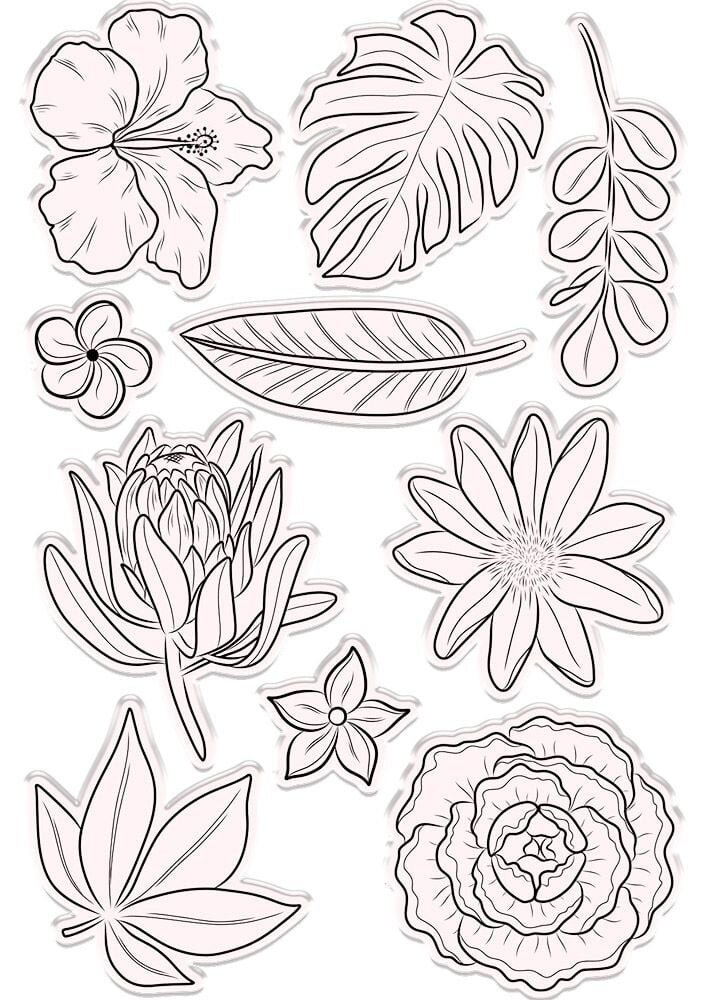 Crafter's Companion Hummingbird Stamp & Die Fragrant Florals (NG-HB-STD-FRFL) (OUTLET)