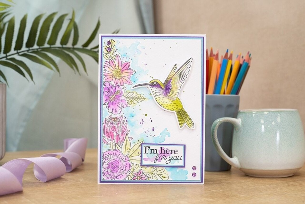 Crafter's Companion Hummingbird Clear Stamps Spread Your Wings (NG-HB-ST-SPYW) (OUTLET)