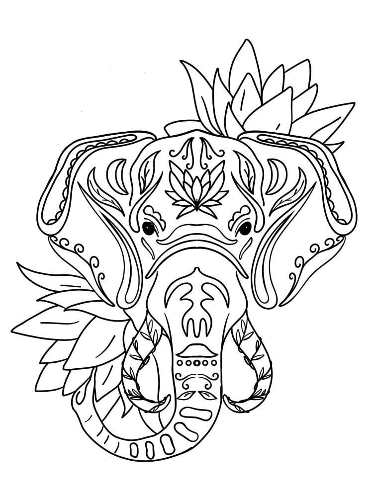 Crafter's Companion Card Front Colouring Pads Spiritually Wild (CC-COLPAD5-SPWI) (OUTLET)