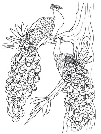 Crafter's Companion Card Front Colouring Pads Floral Flight (CC-COLPAD5-FLFL) (OUTLET) Crafter's Companion Card Front Colouring Pads Floral Flight (CC-COLPAD5-FLFL) (OUTLET)